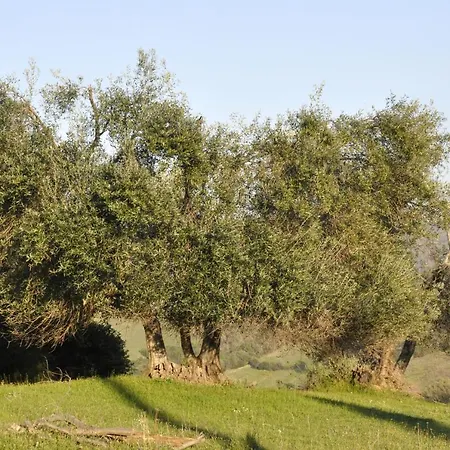 Gospodarstwo agroturystyczne La Colombera In Toscana Roccalbegna