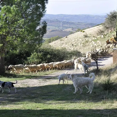La Colombera In Toscana Gospodarstwo agroturystyczne