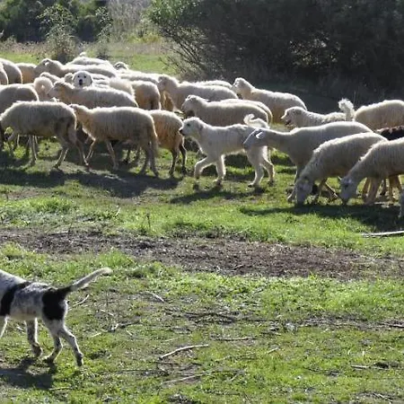 Gospodarstwo agroturystyczne La Colombera In Toscana