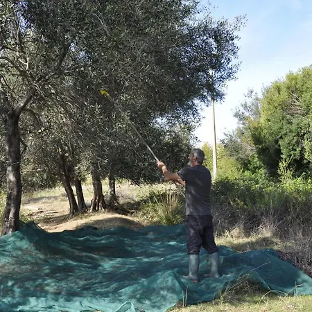 La Colombera In Toscana *