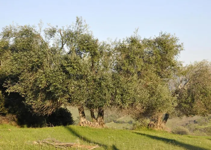 Farm stay La Colombera In Toscana Roccalbegna