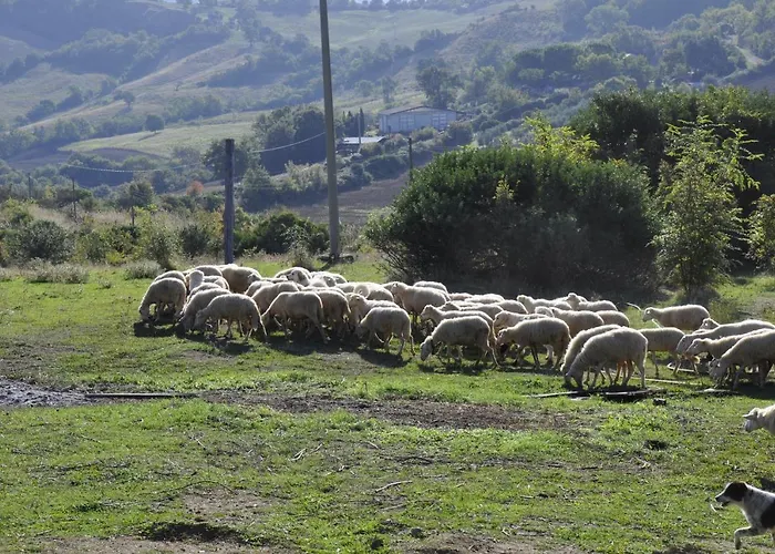 La Colombera In Toscana *
