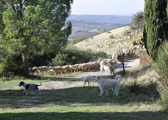 La Colombera In Toscana Farm stay