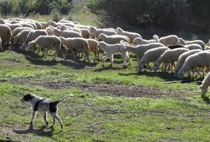 Farm stay La Colombera In Toscana