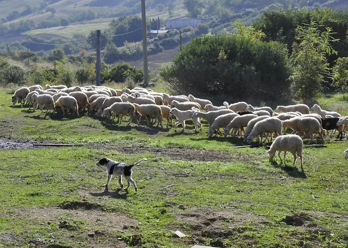 La Colombera In Toscana