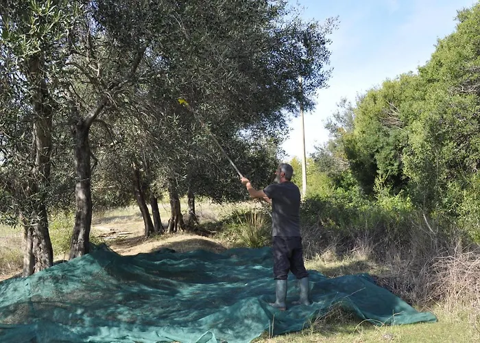 La Colombera In Toscana *